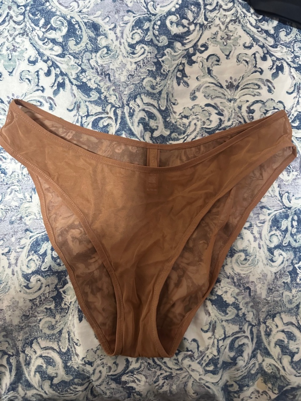 SKIMS Sheer High-Cut Bikini Briefs in Brown•NWOT